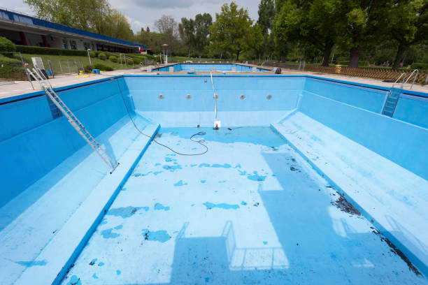 Best Professional water damage repair  in South Creek, WA
