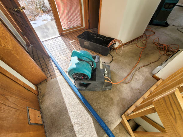 Best Residential water damage restoration  in South Creek, WA