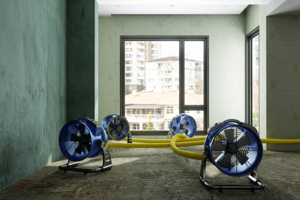 Best Residential water damage restoration  in South Creek, WA